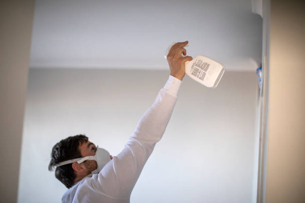 Best Basement Mold Remediation in Cumberland, WI