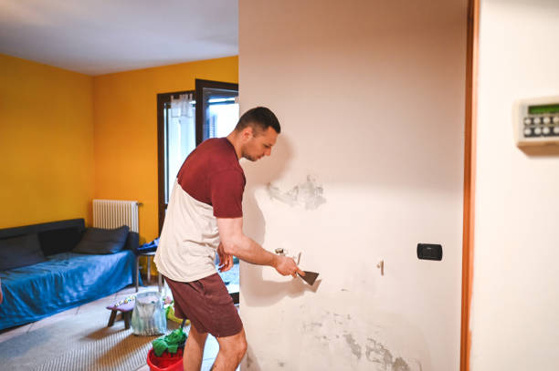 Best Attic Mold Remediation in Cumberland, WI