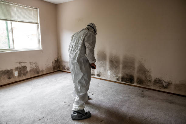 Cumberland, WI Mold Remediation Company